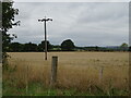 Stubble field and power lines near Billingley Bridge