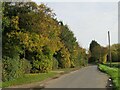 Tye Green Road, Tye Green, near Elsenham