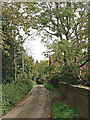 Lane in Higford, Shropshire