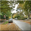 Glebe Road at the end of October