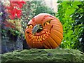 SK3084 : Halloween pumpkin  by Graham Hogg