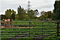 Little Fransham, Lyons Green: Gated field