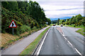 A835, Mullans Wood