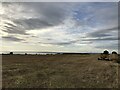 Field at Embo, Dornoch