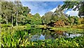 Lake at RHS Rosemoor