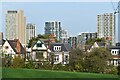 Houses by Hilly Fields Park, with Lewisham skyline