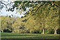 Downhill view, Hilly Fields Park