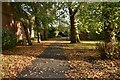 Autumn at Ladywell Fields