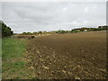 Back  toward  Grimthorpe  Manor  farm  from  Chalkland  Way