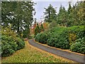 Cragside Estate track