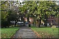 Path towards Anerley Road, Betts Park