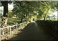 The lane out of Carlton