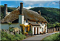 Thatched cottage at Bossington c.1970