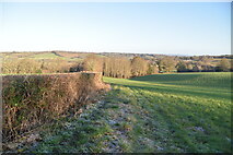 TQ5139 : Field edge footpath by N Chadwick