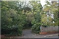 Entrance to Stambourne Woodland Walk