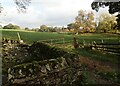 View from the lane out of Carlton