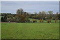 Footpath across field near Dent