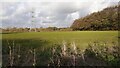 Pylon in field at Holme Gate