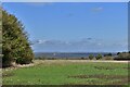 St. Lawrence: Patchy spring cereal crop