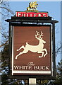 Sign for the White Buck