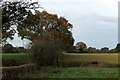 On a Footpath leading West from Goosnargh