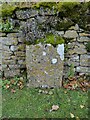 Old Milestone, Ham Road, Whittington