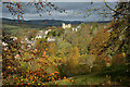 Selkirk from the Haining Estate