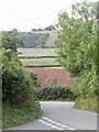 A glimpse of chalk, Batcombe