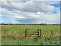 Bridleway to Hickling Pastures