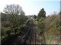 Railway towards Ashurst New Forest