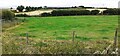 Farmland on SE side of Newton Road