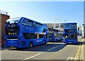 bluestar buses on Bargate Street