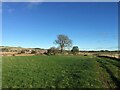 Ruined buildings at Parknook