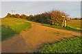 Footpath to Grange