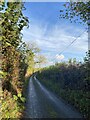 Country lane towards Brechfa