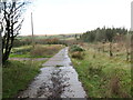 Llwybr Nantyperchyll / Nantyperchyll path