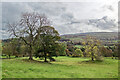 Fields near Hollins House, Wensleydale