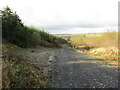 Trac coedwigaeth ger Nantyperchyll / Forestry track near Nantyperchyll