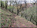 Llwybr i Afon Blotweth / Path to Afon Blotweth