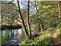 Riverside path below Wilsill