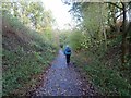 Railway Path View