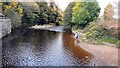 River Eden viewed from Frank