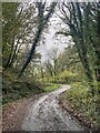 Muddy lane towards Ynyswen