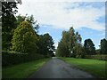 Driveway  into  Hirsel  Country  Park