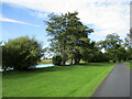 Hirsel  Lake  through  the  trees