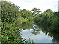 River Mole looking downstream