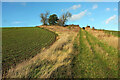 Bridleway near Upper St Dennis