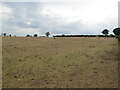 Dry pasture above Hillend