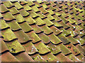 Mossy Barn Tiles beside Haven Basin Road