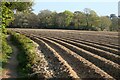 Farmland, Mylor